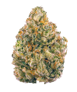 AK-47 Weed Strain