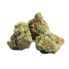 Amnesia Haze Strain