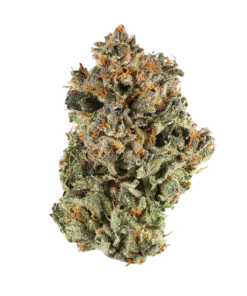 Blackberry Kush