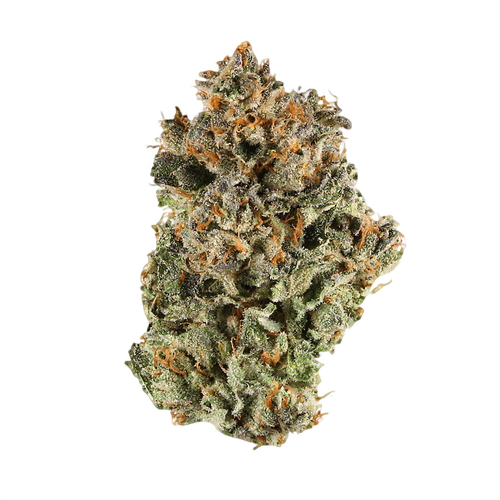 Blackberry Kush