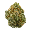 Blue Dream Strain