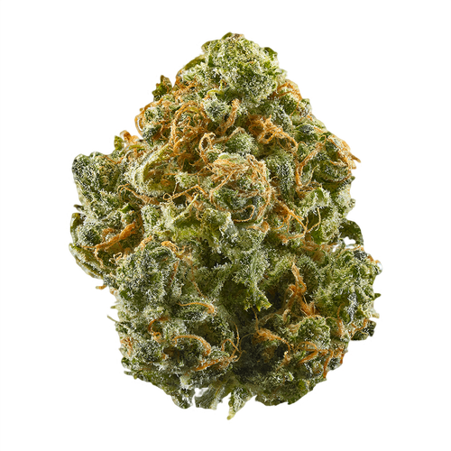 Blue Dream Strain