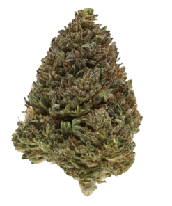 Platinum Bubba Kush