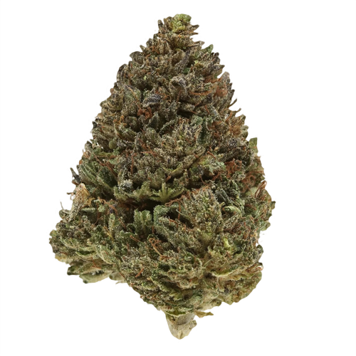 Platinum Bubba Kush