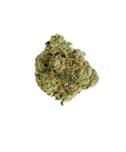 Chem Dawg