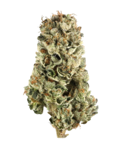 Cherry Pie Strain
