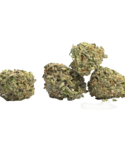 Gods Gift Strain