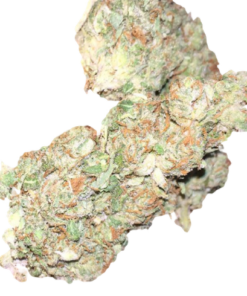 Gorilla Glue Strain