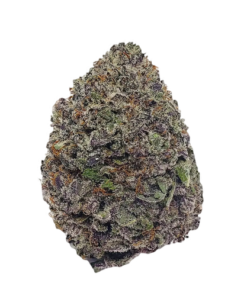 Grand Daddy Purple