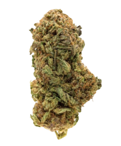 Grape God Strain