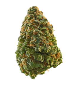 Green Crack Weed