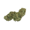 Hash Plant Strain
