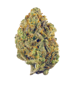 Lemon Haze Strain