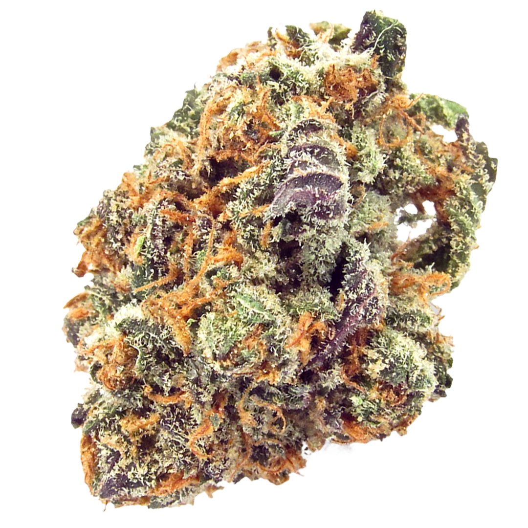 Mimosa Kush