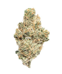 Platinum GSC