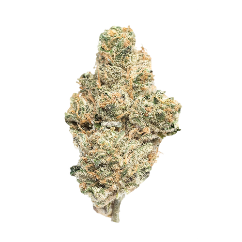 Platinum GSC