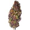 Purple Haze Weed