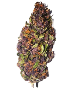 Purple Haze Weed