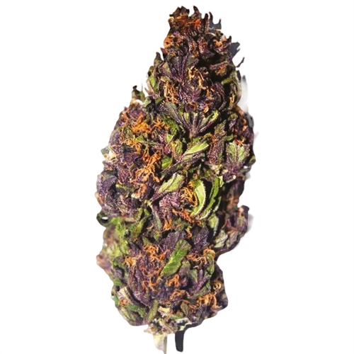 Purple Haze Weed