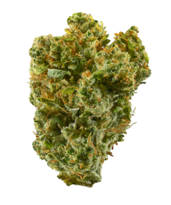 Super Silver Haze Seeds