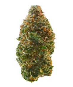 Trainwreck Weed