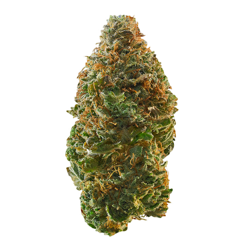 Trainwreck Weed
