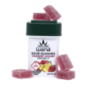 Wana Edible Gummies