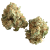 White Widow Strain