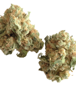 White Widow Strain