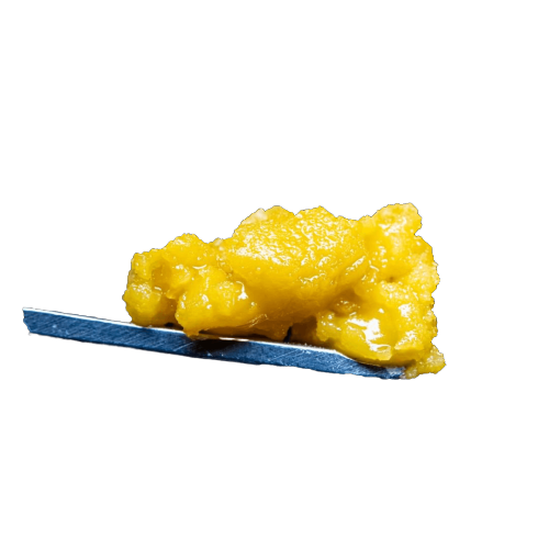 Sputnik Live Budder