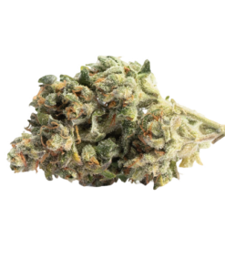 Acapulco Gold Strain