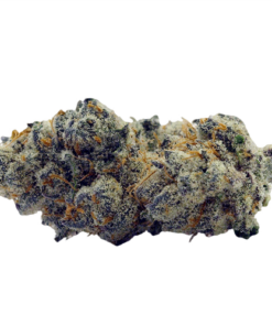 Apple Fritter Strain