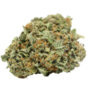 Black Domina