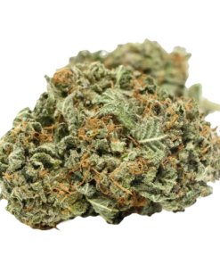 Black Domina