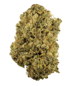 Durban Poison