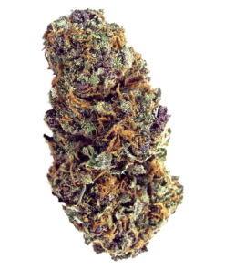 Forbidden Fruit