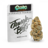 jungle boys strains