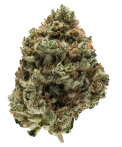 Kosher Kush