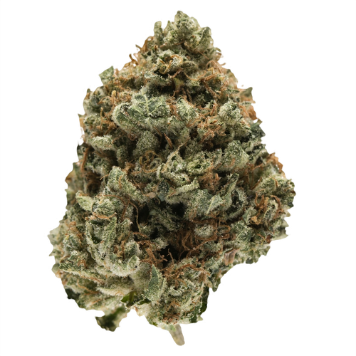 Kosher Kush