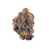 Purple Kush Seeds