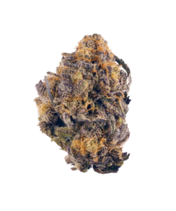 Purple Kush Seeds