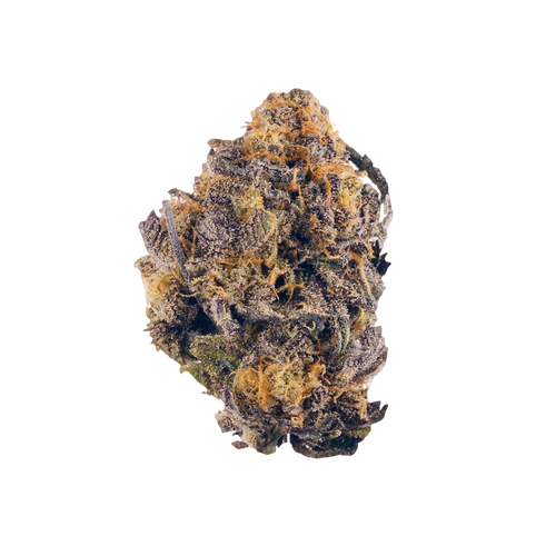 Purple Kush Seeds