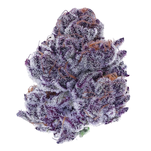 Purple Punch Strain
