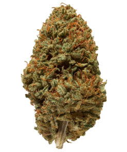 Sour Haze Strain
