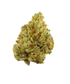Sour Tangie